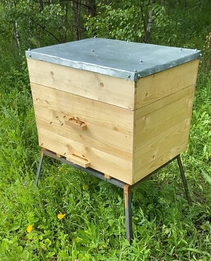 Отчет перед учителем