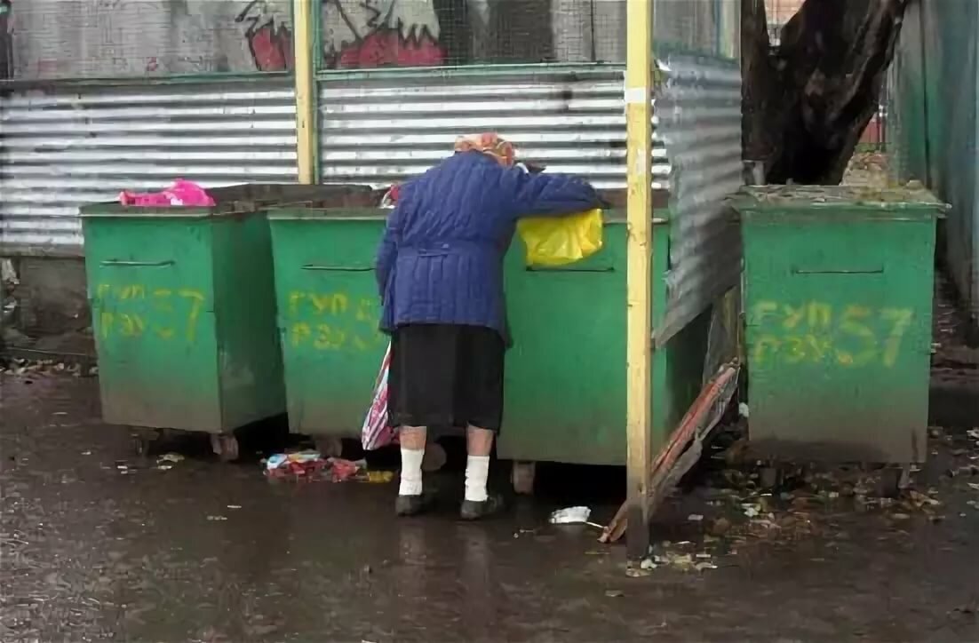 Фото Яндекс картинки