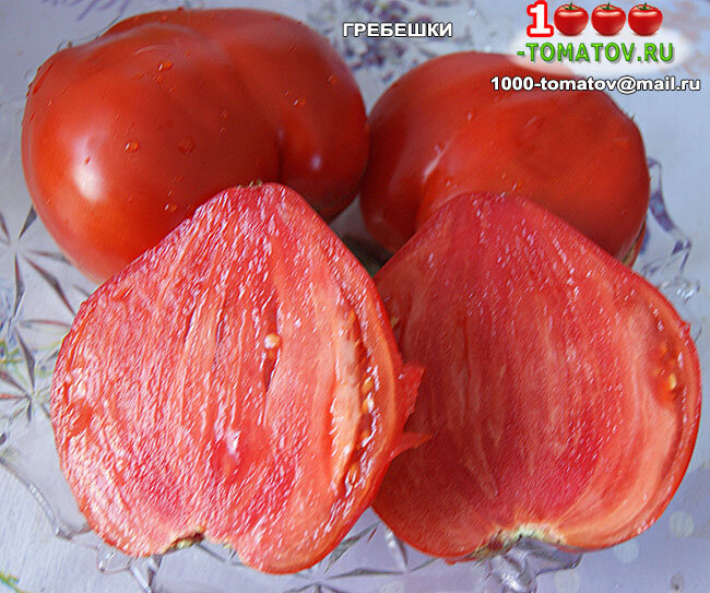 помидоры гребешки. томат золотой гребешок. томат золотой гребешок характеристика и описание. томат гребешки красные. томат гребешок характеристика и описание сорта.