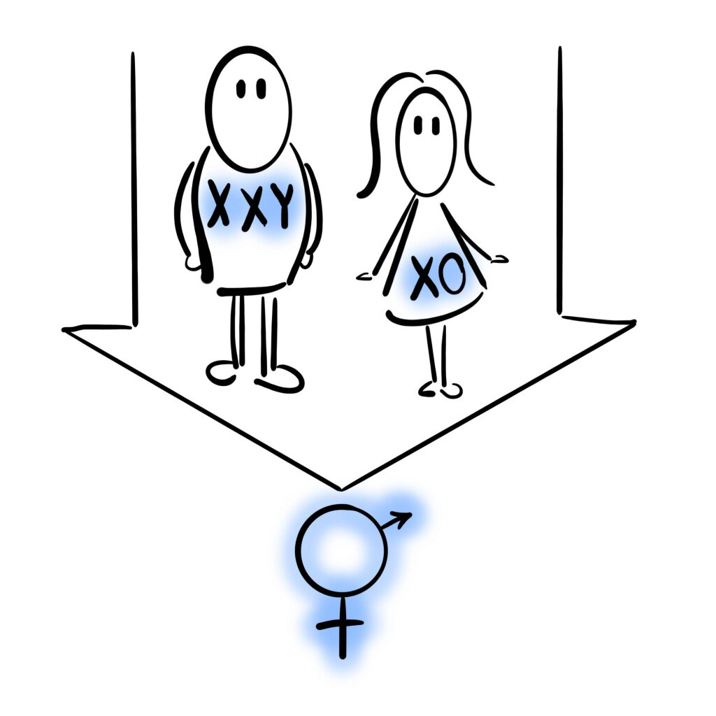 Иллюстрация Георгия Сапего