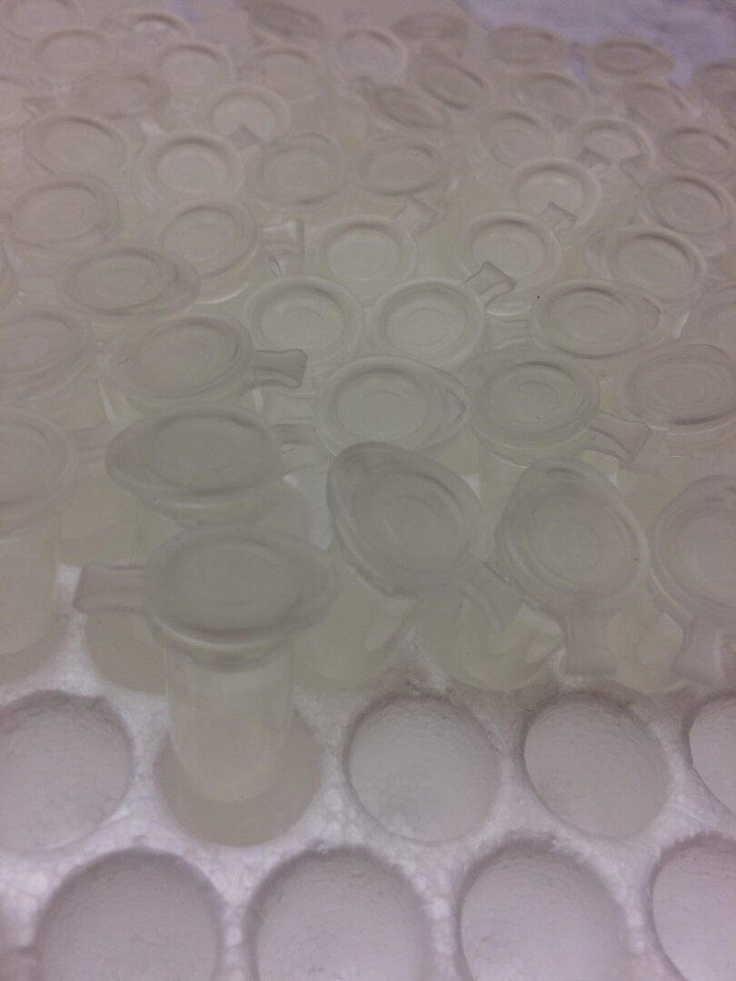 Пробирка с мазком. Ещё одна. И ещё парочка...