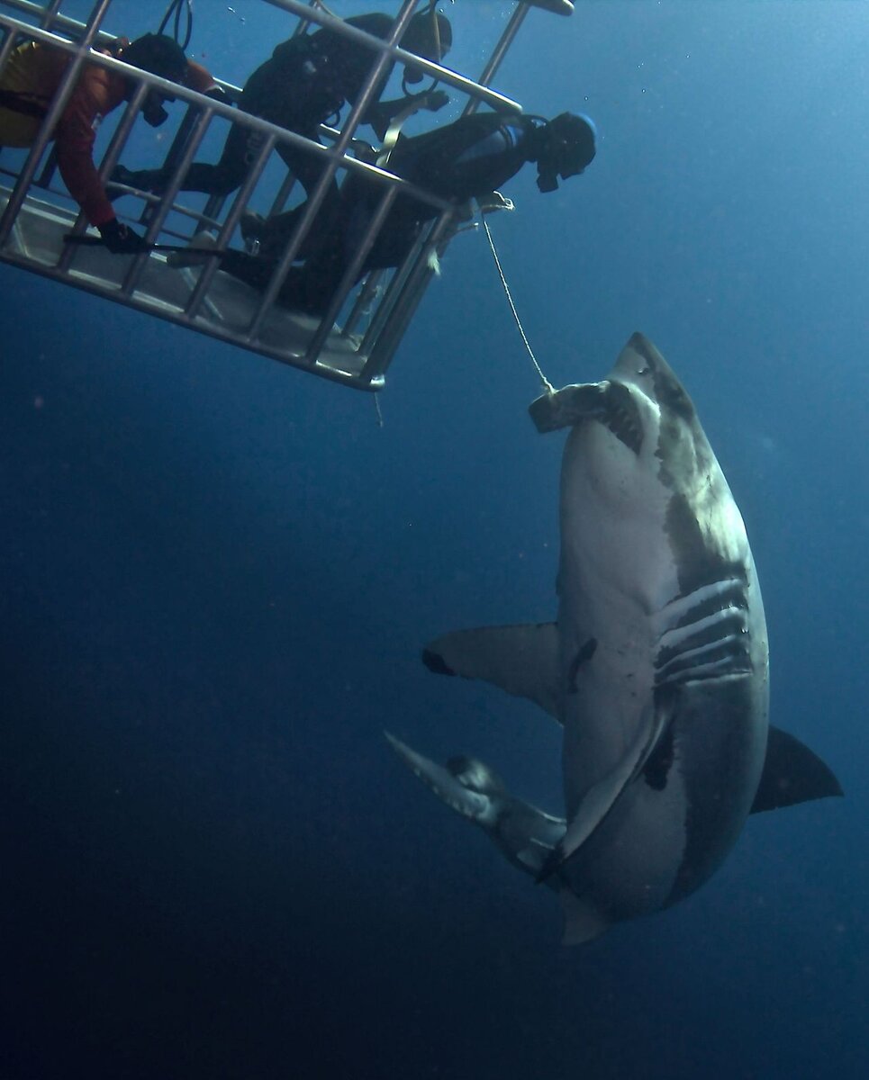 Источник: yandex.ru