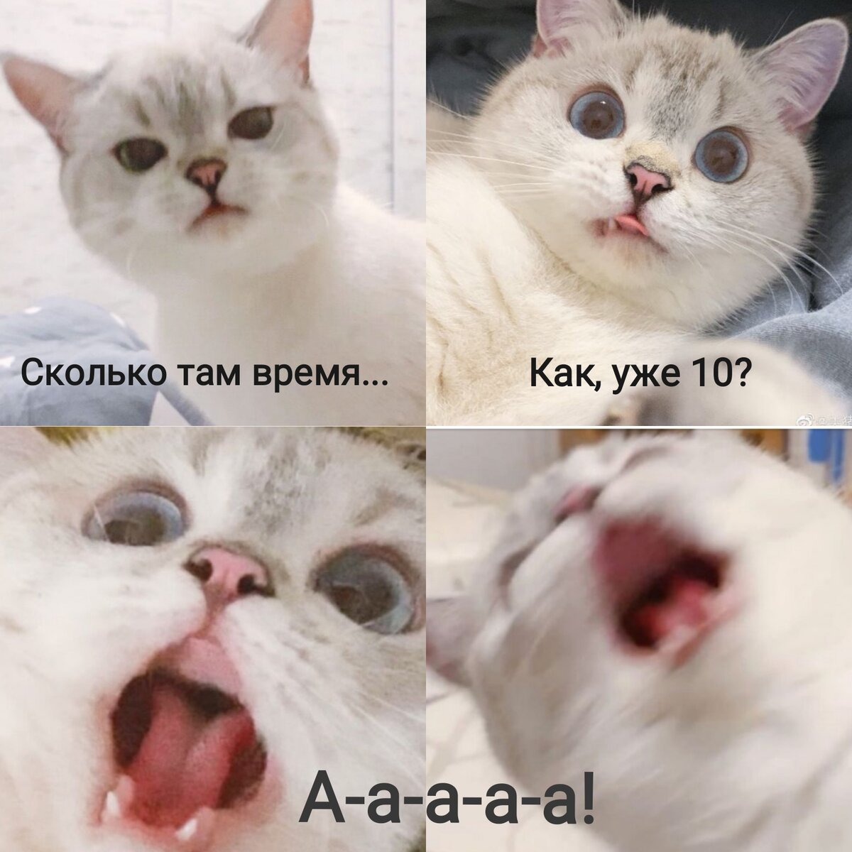 Когда забыл поставить будильник после выходных. Моё