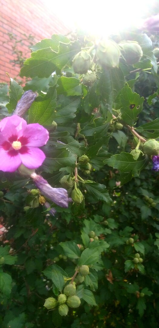 Вот эта красота неописуемая.