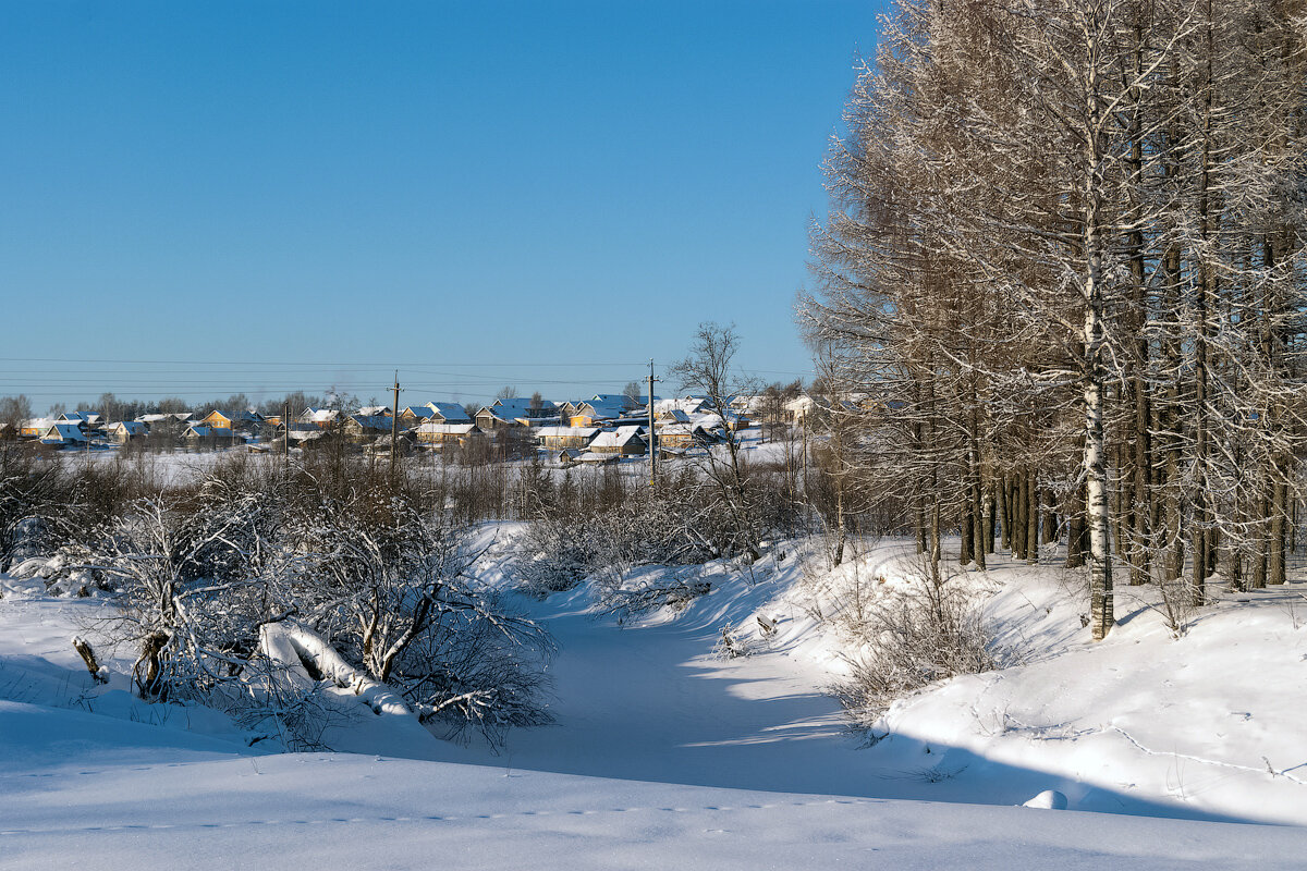 Село костромское. Павино село Костромская. Деревня Павино Костромская область. Кострома Павино. Достопримечательности села Павино Костромской области.