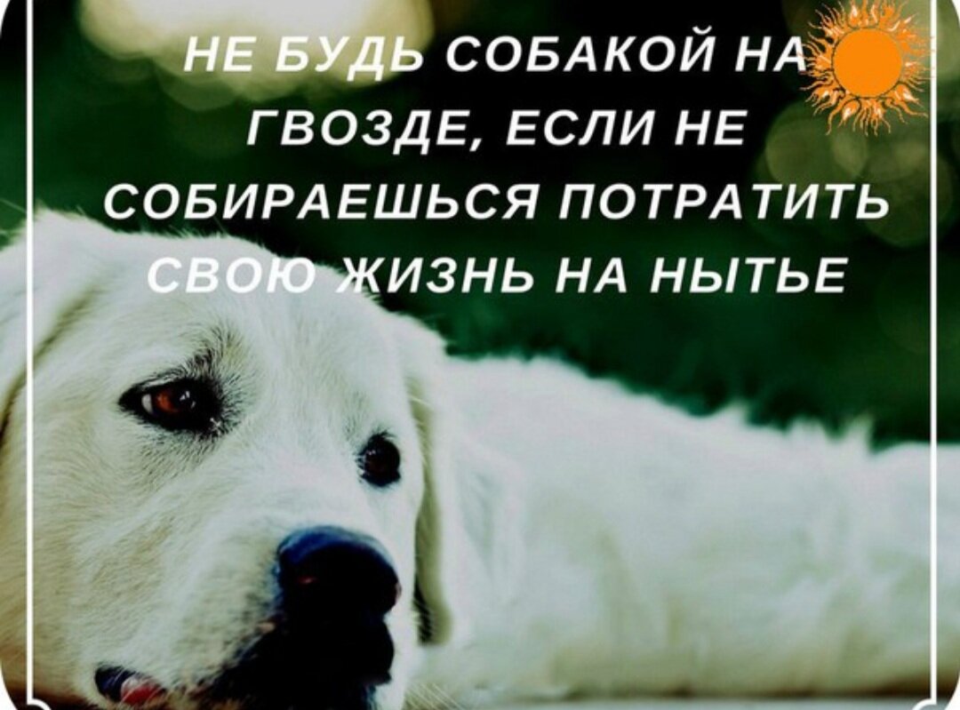 Картинка из поисковой системы Яндекс