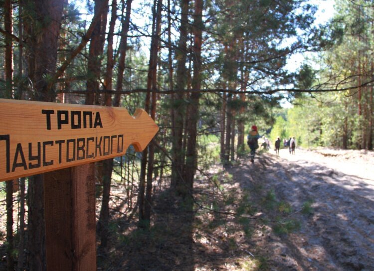 Тропа Паустовского - это большое  маркированное пространство в Мещерской стороне .