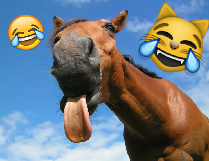 Источник - Яндекс. Картинки.