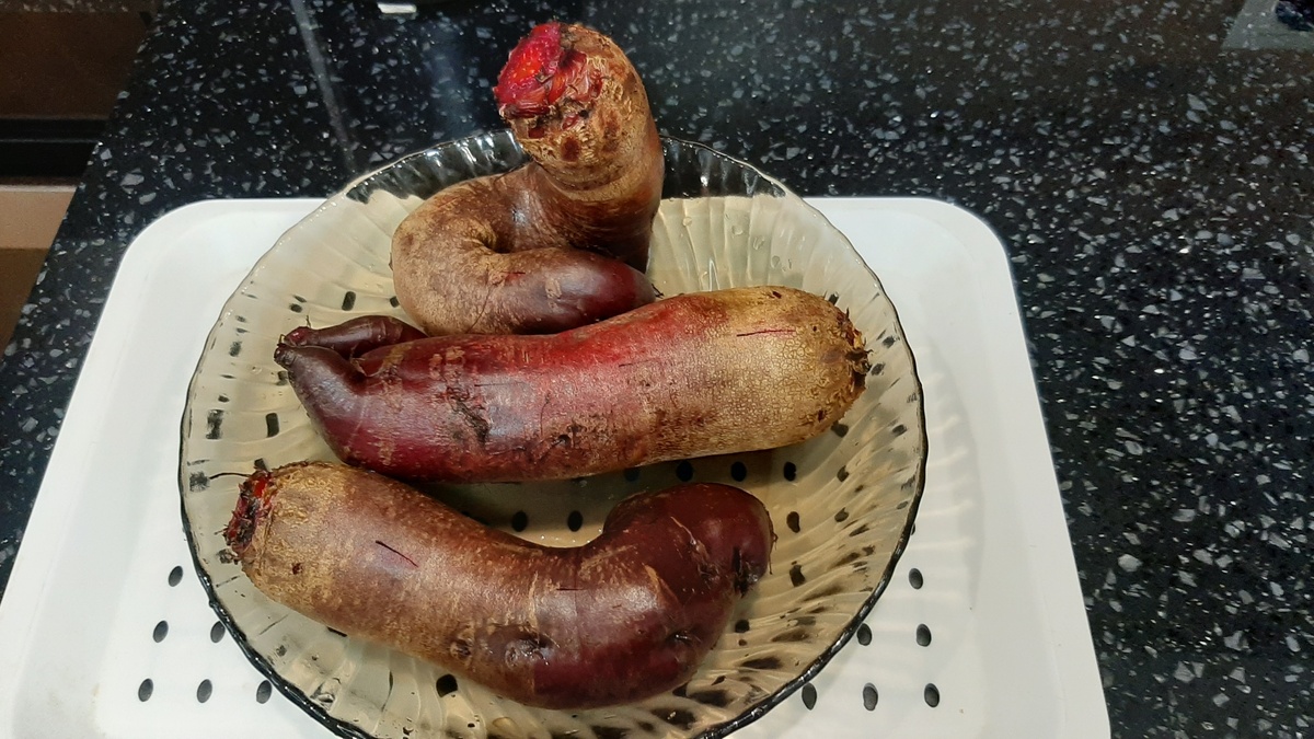 из домашнего архива