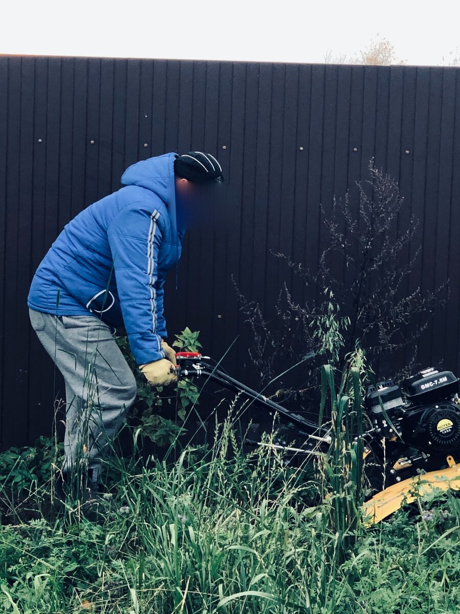 Муж копает ! Фото автора. 