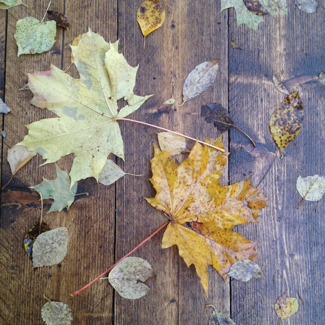 фото из личного архива