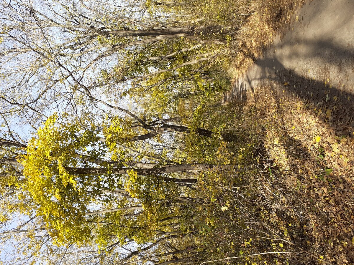 Немного красоты