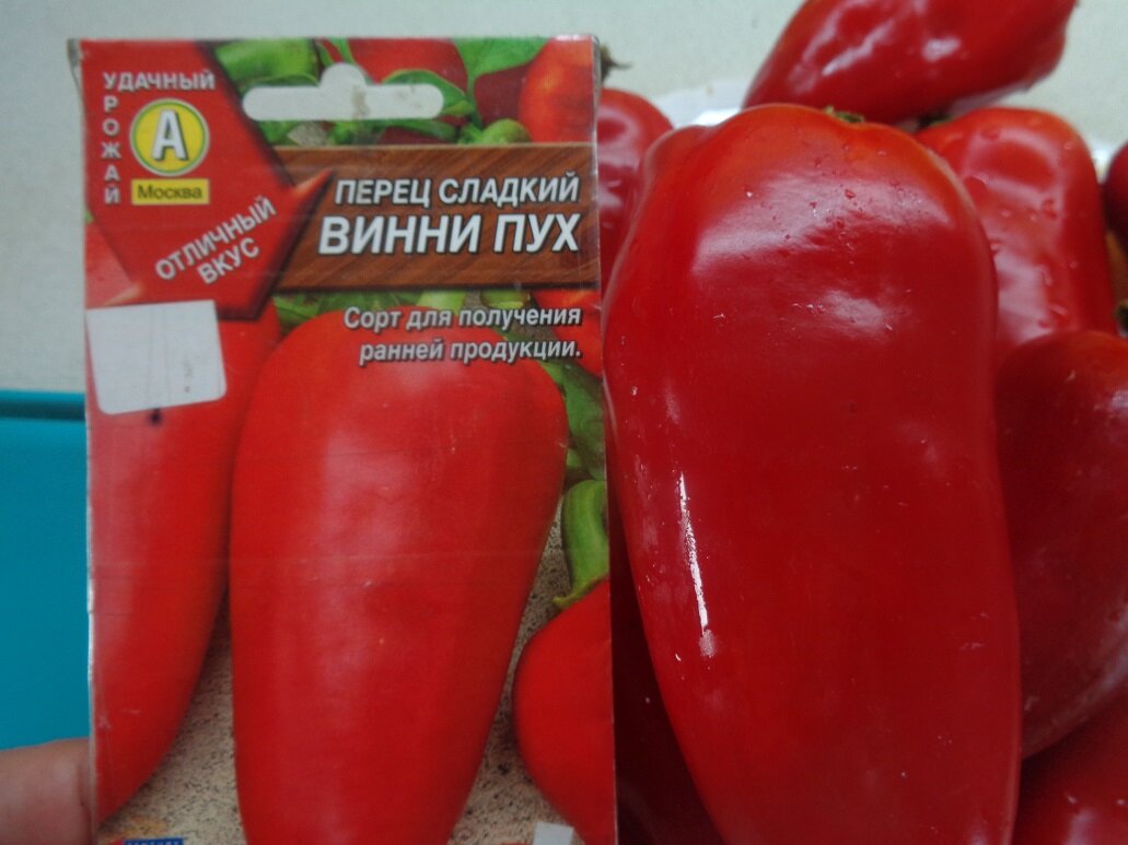 Перец сорта винни пух фото