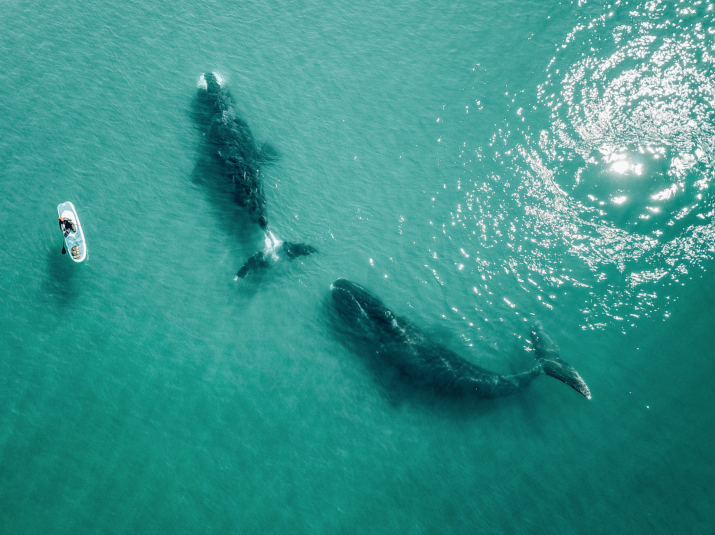 Фотография с сайта Русского географического общества, автор Дмитрий Куликов