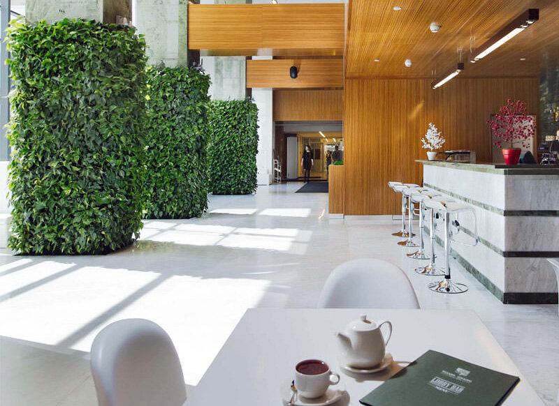 В зоне отдыха "Adler Hotel & SPA" 