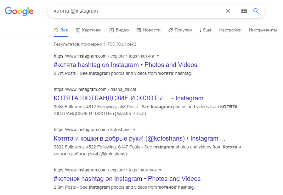 поиск "котята" в Instagram
