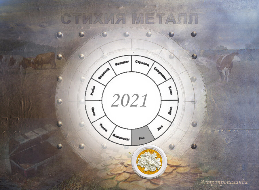 Коллаж Нины Стрелковой.