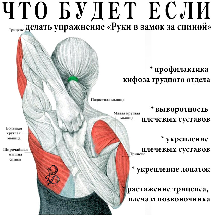 Человек убрал руки за спину: что значит этот жест на языке тела. Как вести себя | VK