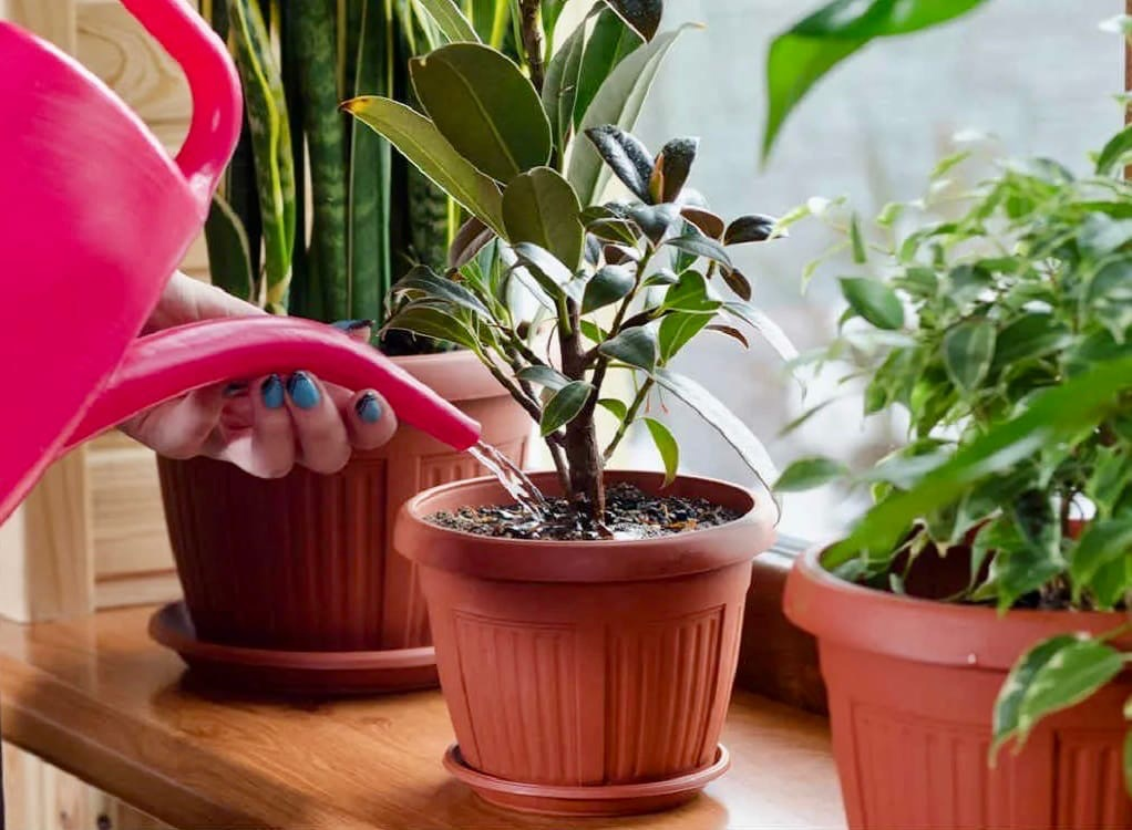 Фото взято из открытых источников Интернета