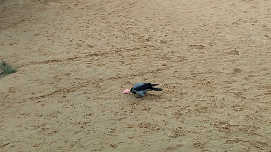 Вечный труд