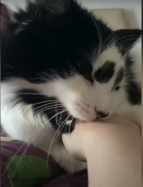 Давай поиграем!!!