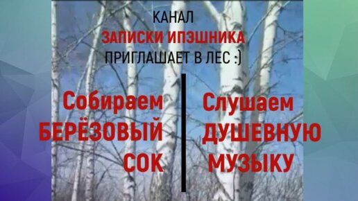 Подруга угостила берёзовым соком и мне захотелось ещё. Поехали с мужем в лес собирать, пока не поздно