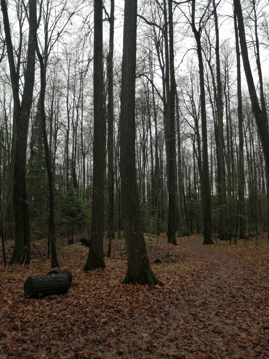 Фото автора.