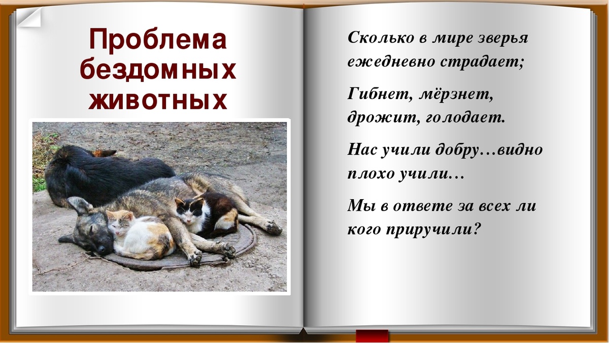 Из интернета