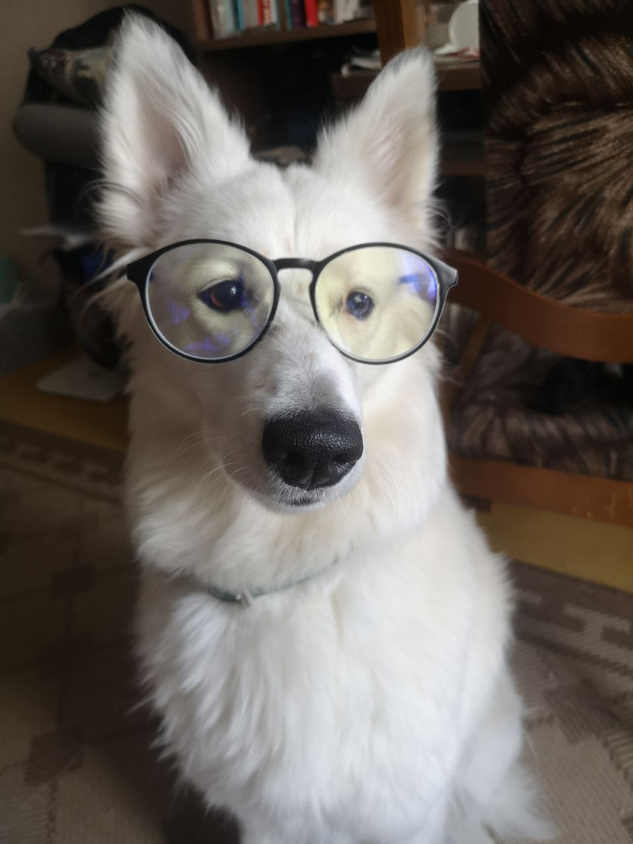 Наша умная булочка.