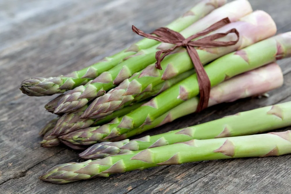 Спаржа на 100 грамм. Аспарагус спаржа. Спаржа (Asparagus officinalis).. Спаржа Царская. Спаржа шобериевидная.