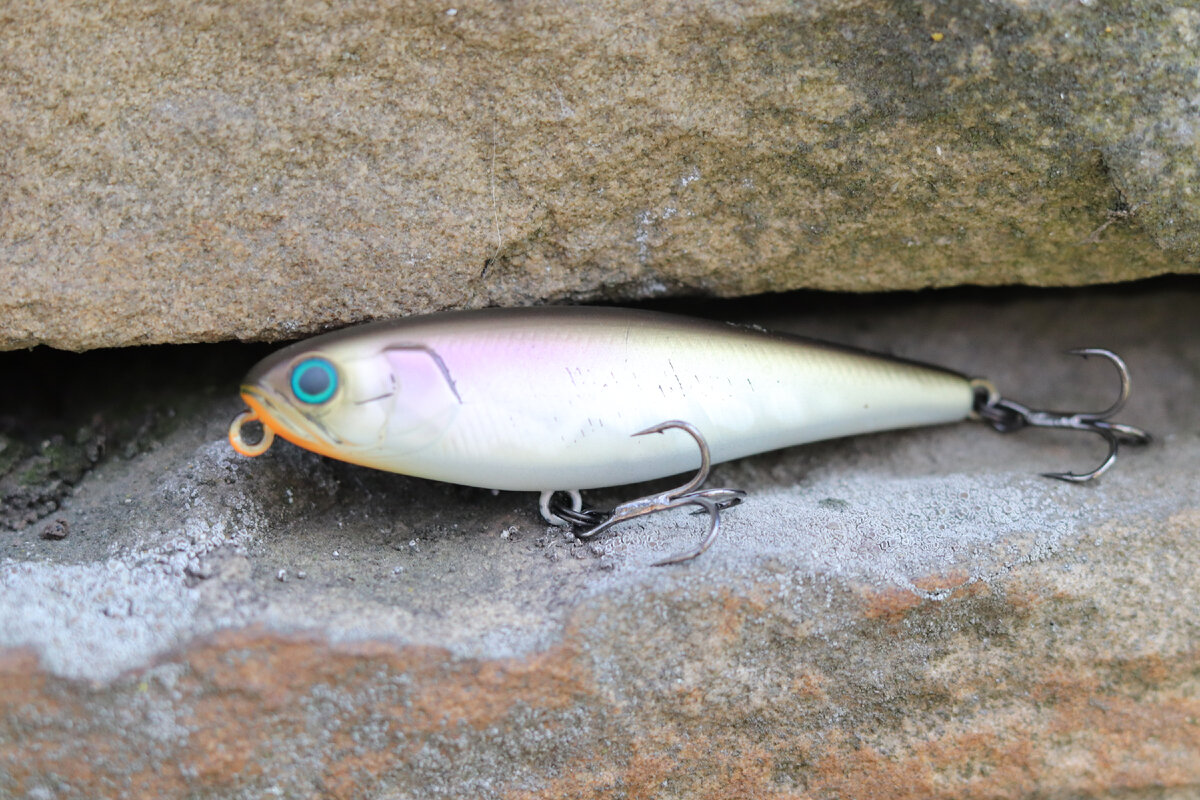 Jackall Water Moccasin