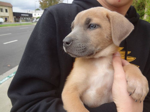 фото boredpanda.com