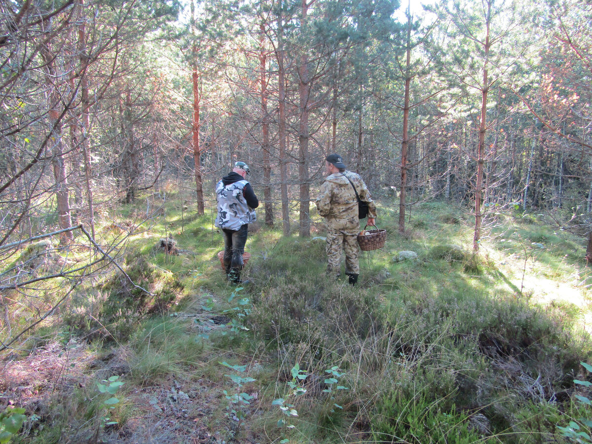 Приозерский район. Один из моих выездов.