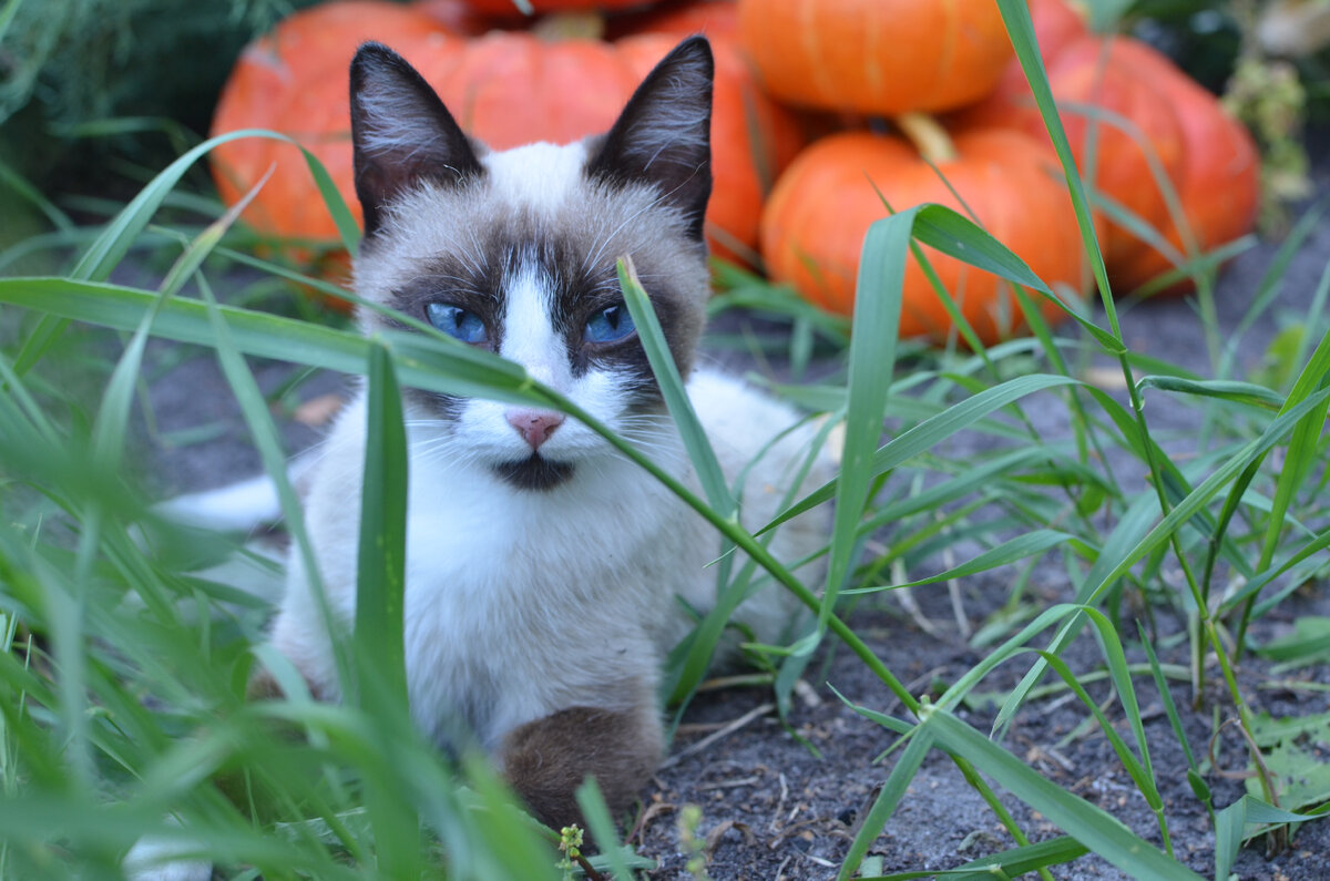 Фото из личного архива автора.
