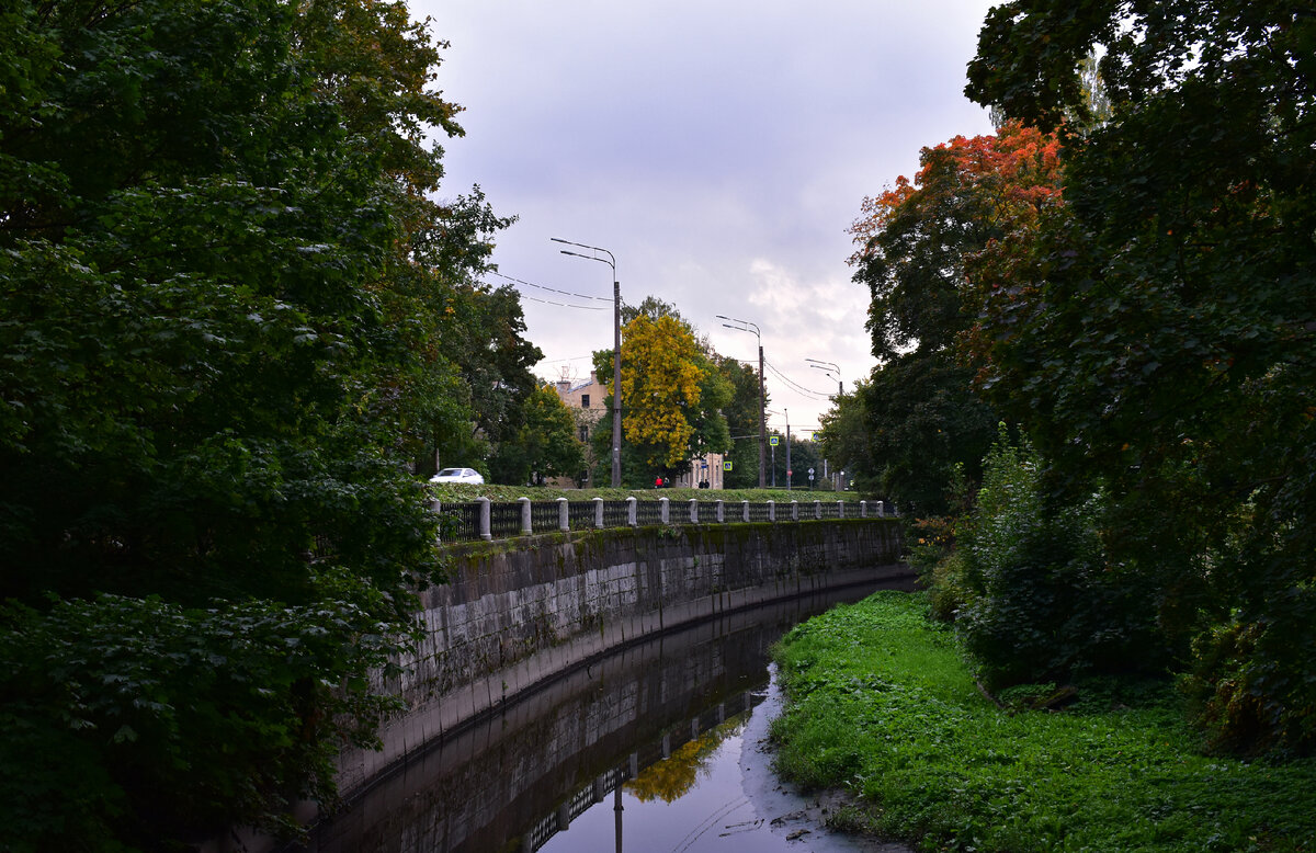 Река Волковка