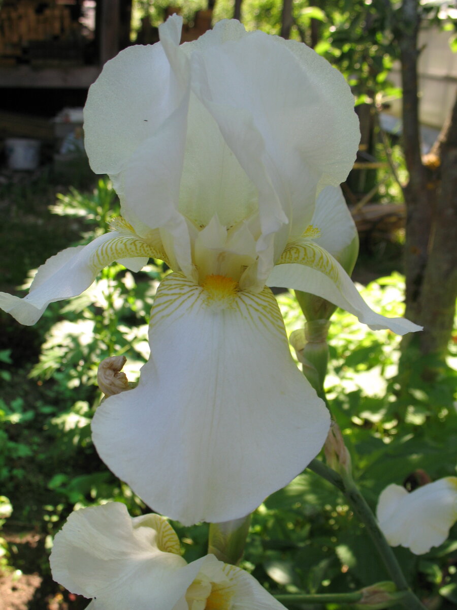 Без комментариев