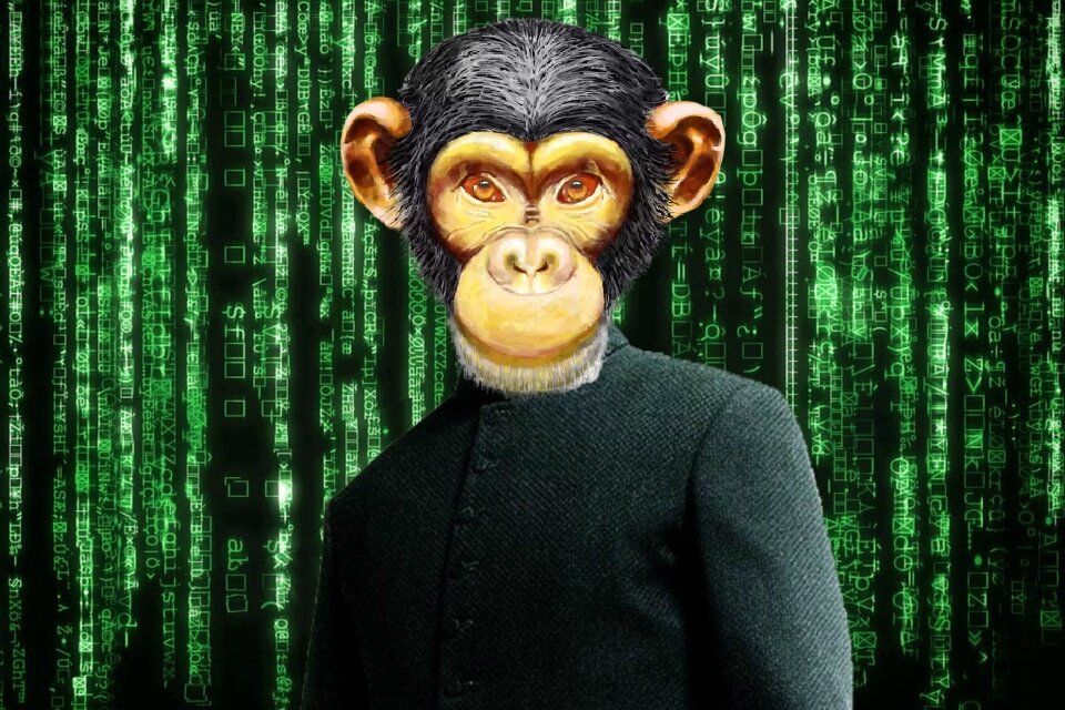 Изображение из открытых источников.