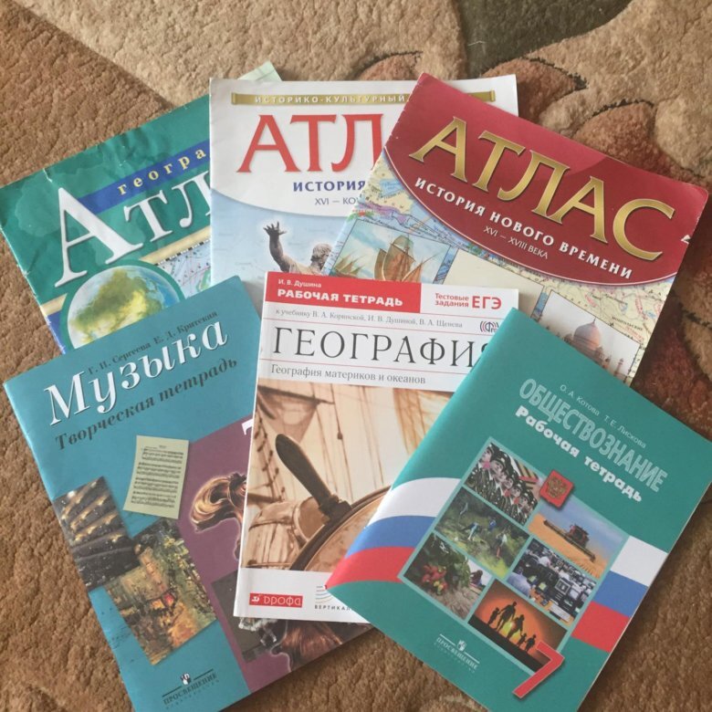 Очень классные тетради были как-то по музыке и рисованию. Потом отказались - детям не слишком интересно, родителям - дорого.