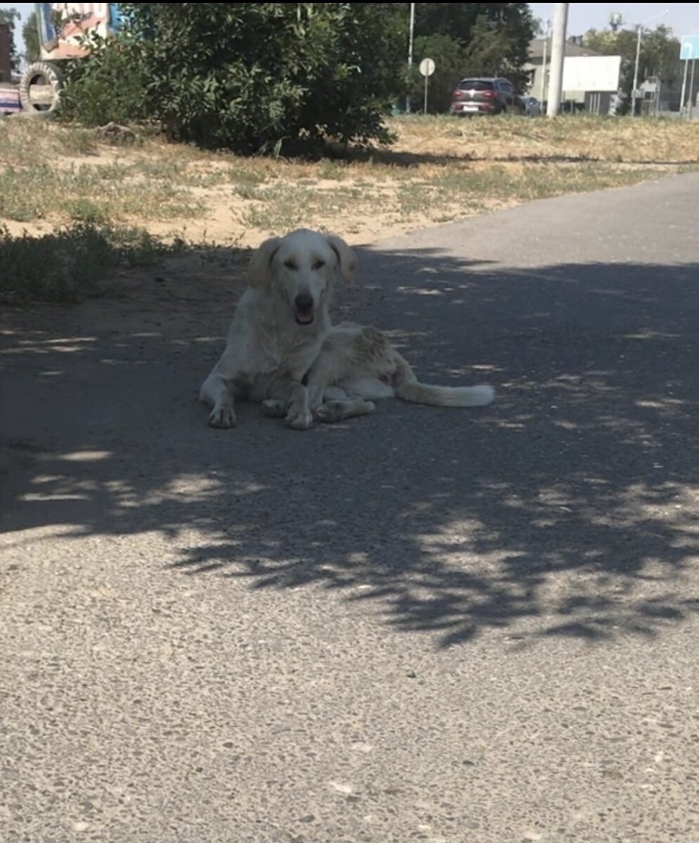 У малышки не было сил передвигаться 