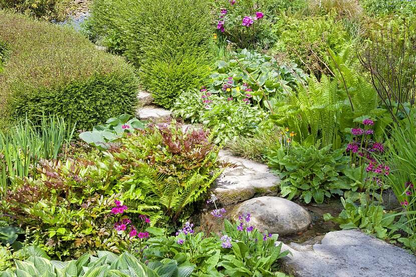 Деталь каменной дорожки между растениями