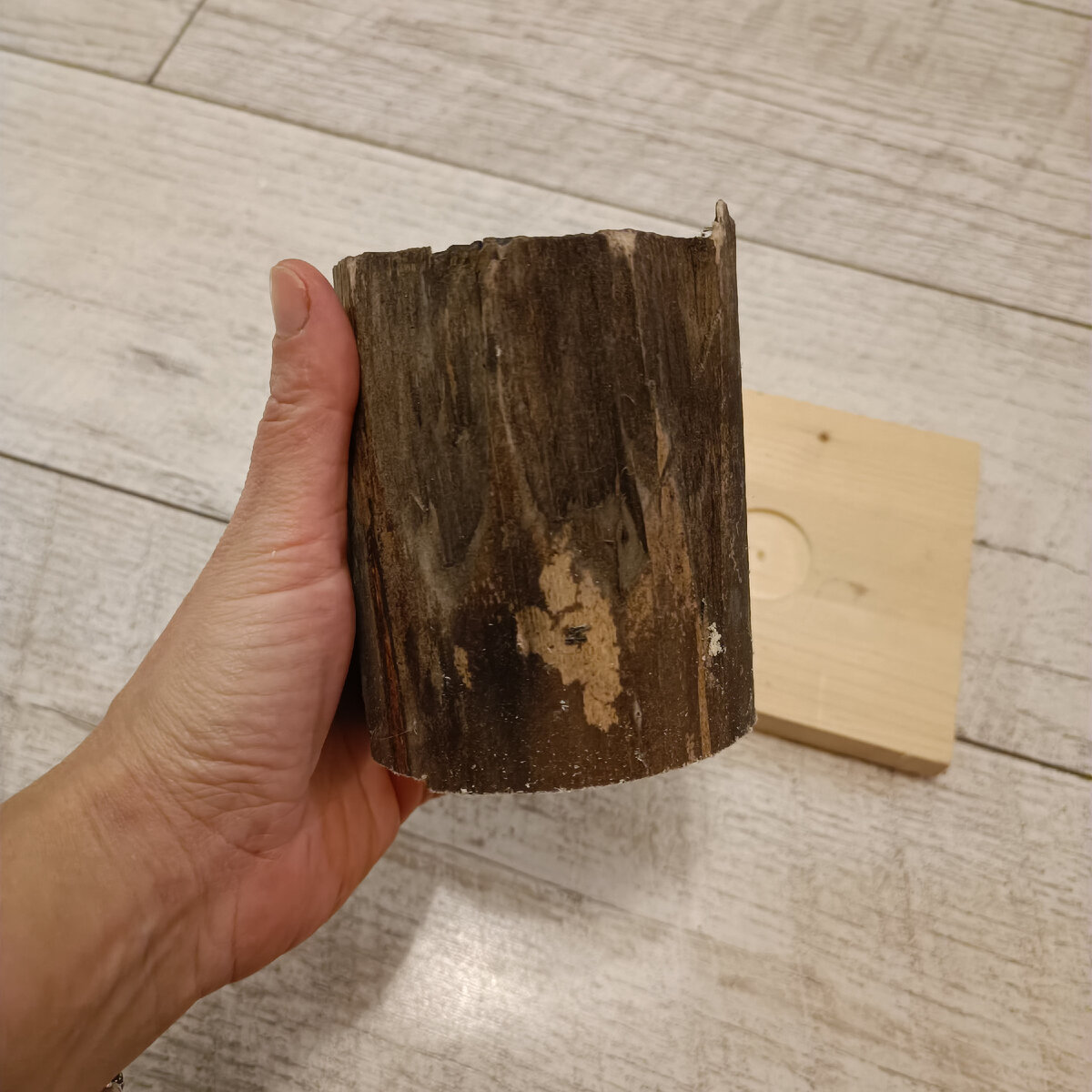 Полено будет основой для елки. Можно в качестве основы взять и обычный цветочный горшок, заполненный землей или камушками 