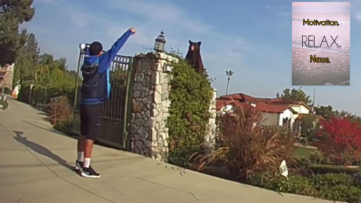 Вот это поворот...