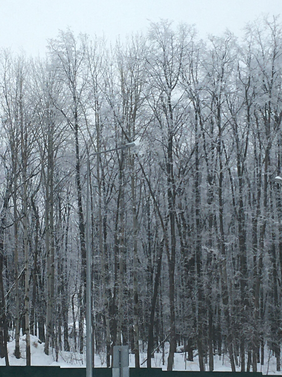 А это прекрасный вид из окна моей новой квартиры, правда сегодня пасмурно немного