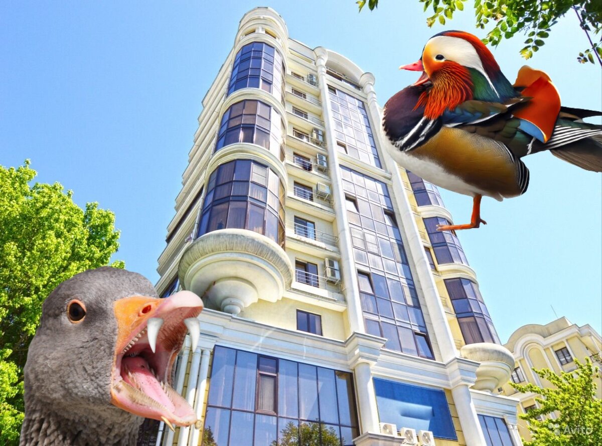 Сочинский рынок новостроек в стагнации