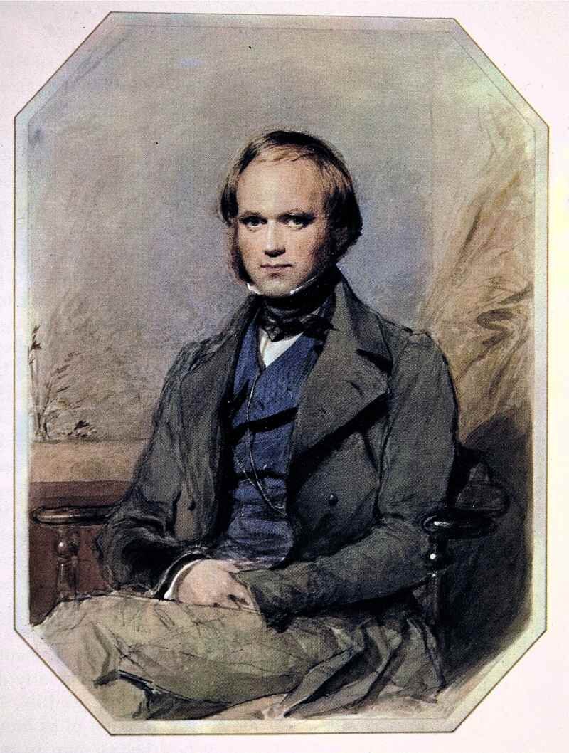 Портрет Чарлза Дарвина, 1830-е. Джордж Ричмонд. Источник: Музей Чарлза Дарвина в Дауне