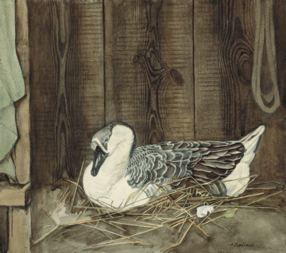 Гусыня в гнезде
1983 г., 40x45, Бумага/Акварель