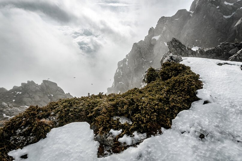 Фото: Константин Аношин 
