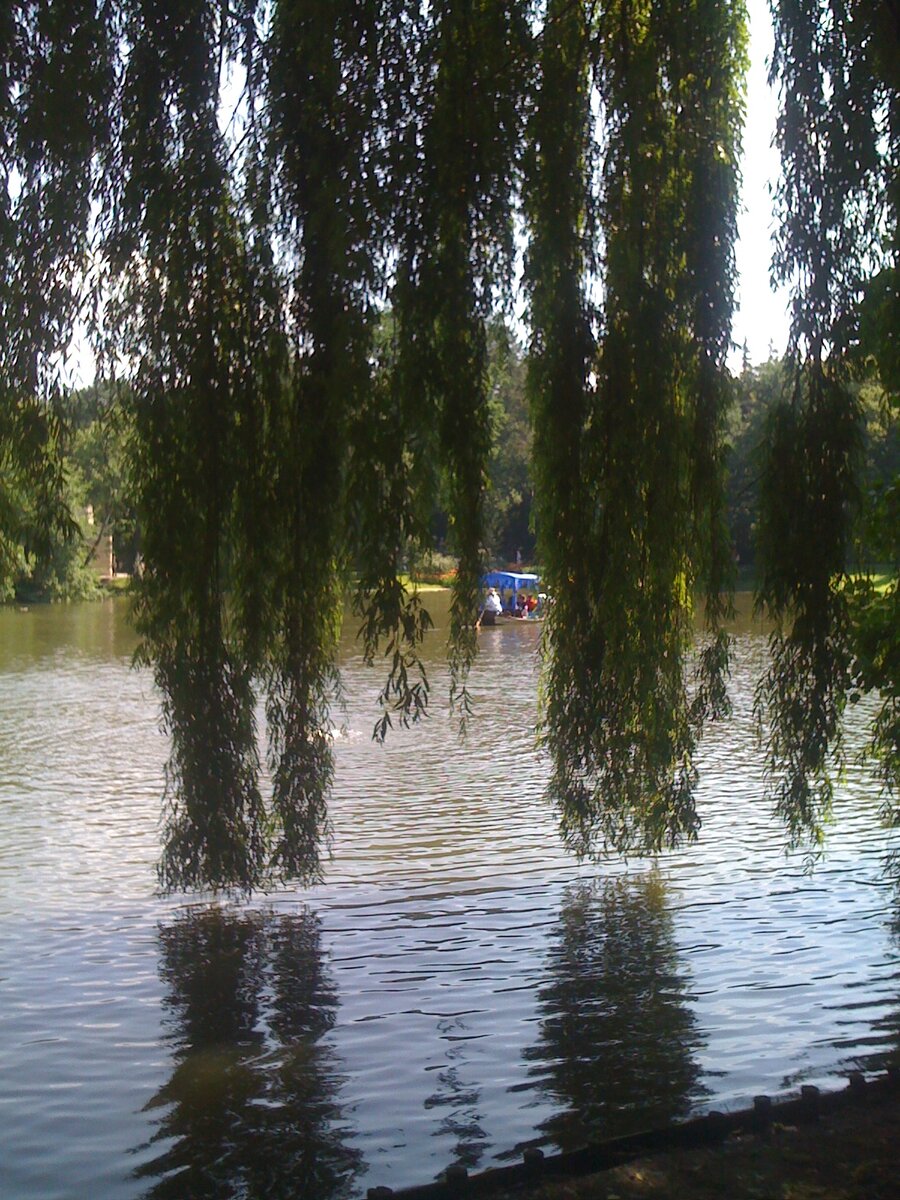 Фото из личного архива