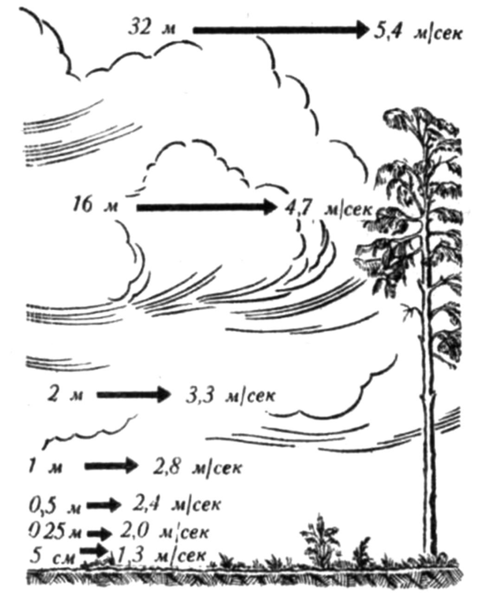 Какая скорость ветра на высоте. Изменение скорости ветра с высотой. Сила ветра на разных высотах. Зависимость скорости ветра от высоты. Направление ветра на разных высотах.