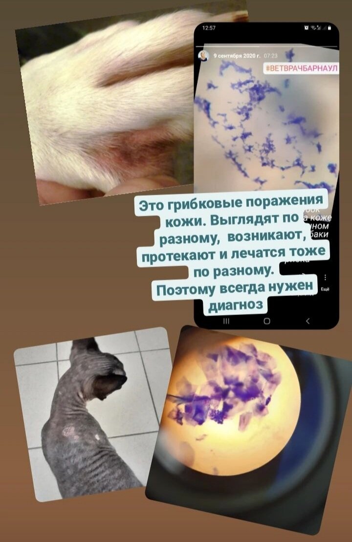 Из личной практики